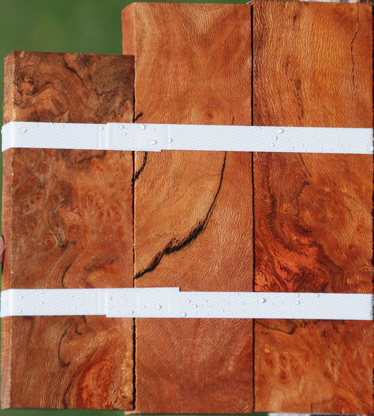 Extra Fancy Sycamore Burl Lumber 3-Pack