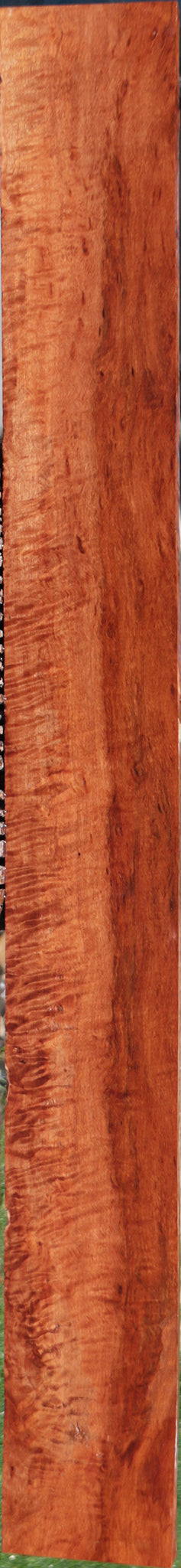 Exhibition Rambutan Lumber