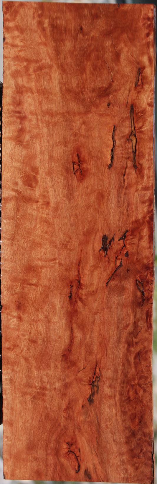 Rustic Rambutan Lumber