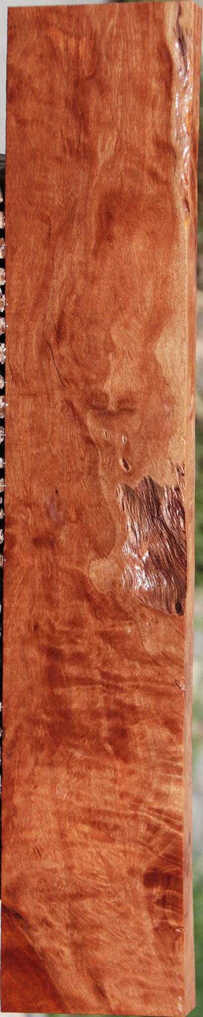 Exhibition Rustic Rambutan Lumber