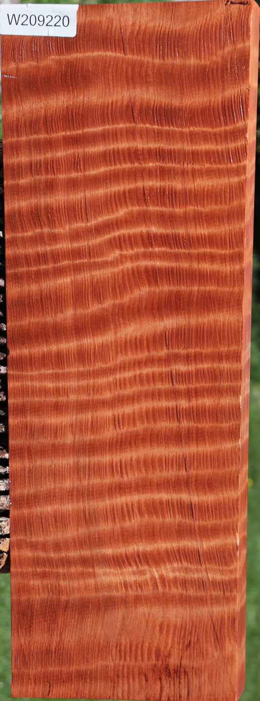 Exhibition Curly Redwood Instrument Billet