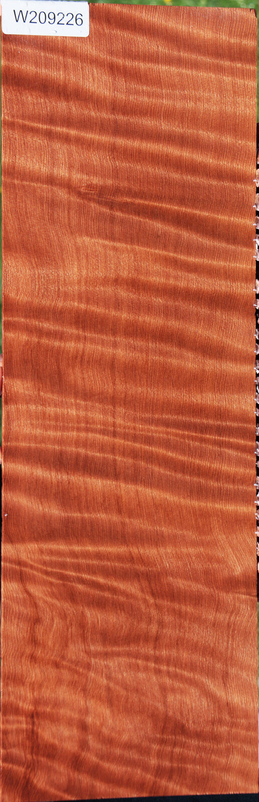 Extra Fancy Curly Redwood Micro Lumber