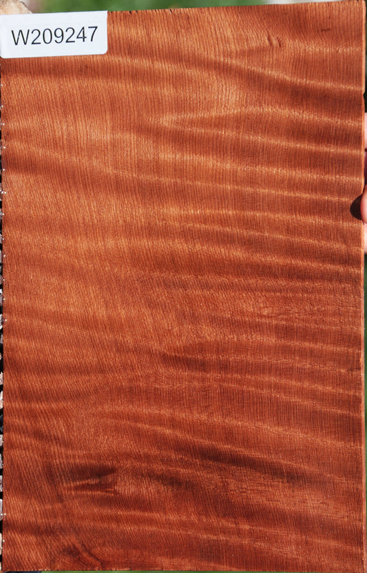 Exhibition Curly Redwood Micro Lumber
