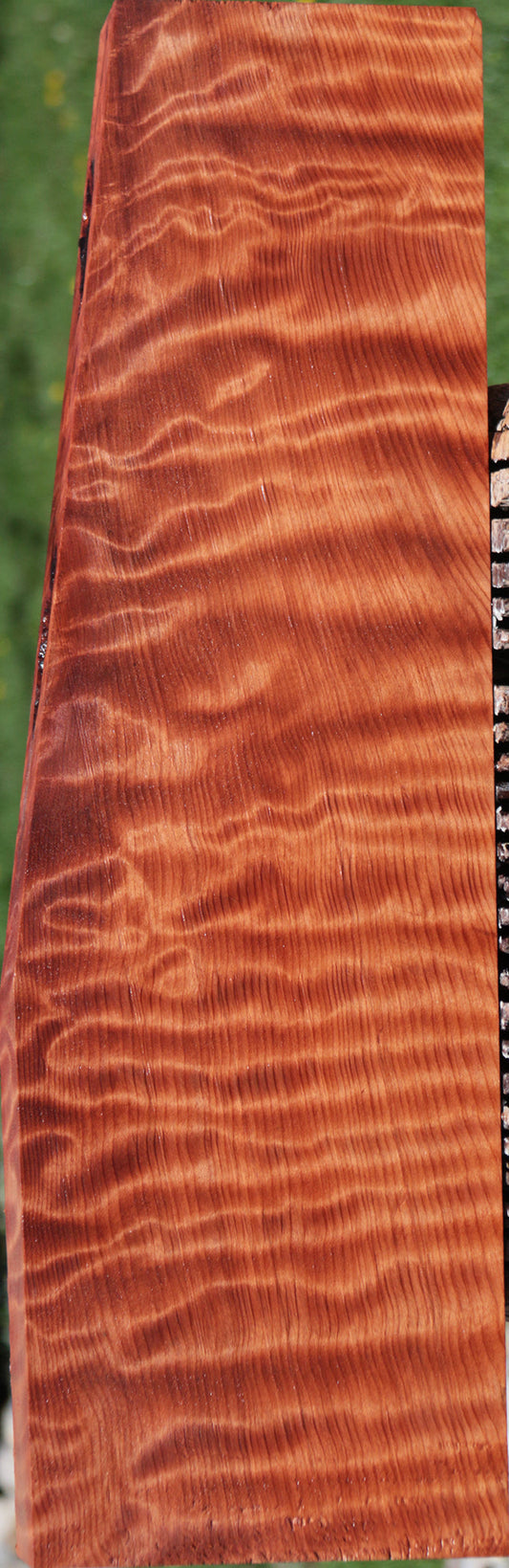 Exhibition Curly Redwood Instrument Billet