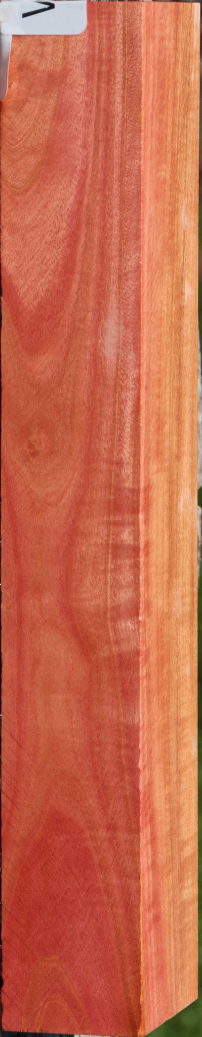 Extra Fancy Pink Ivory Lumber