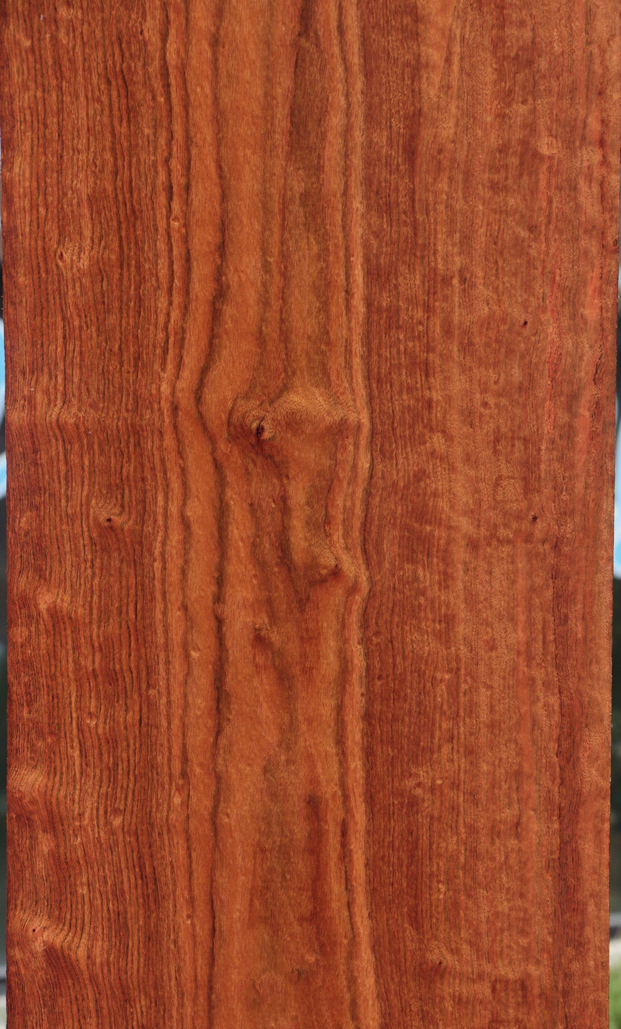 Extra Fancy Chechen Lumber