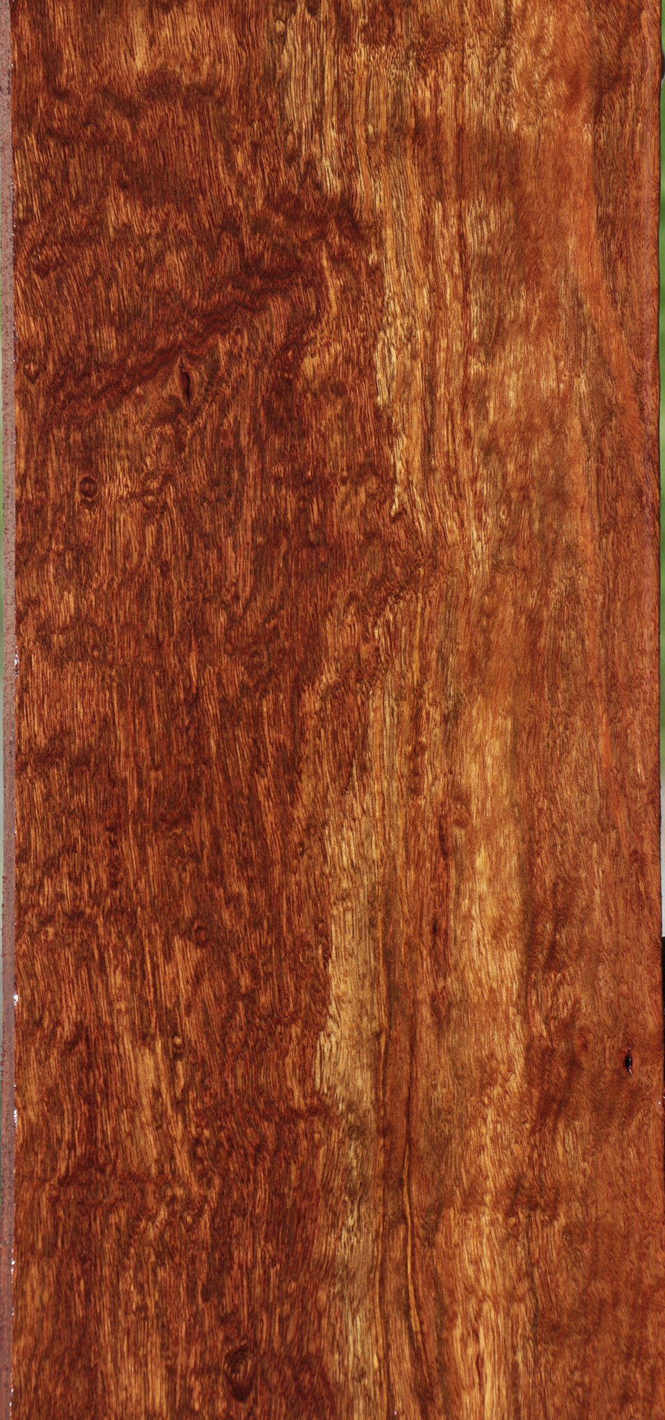 Extra Fancy Chechen Lumber