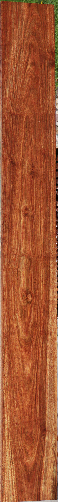 Chechen Lumber