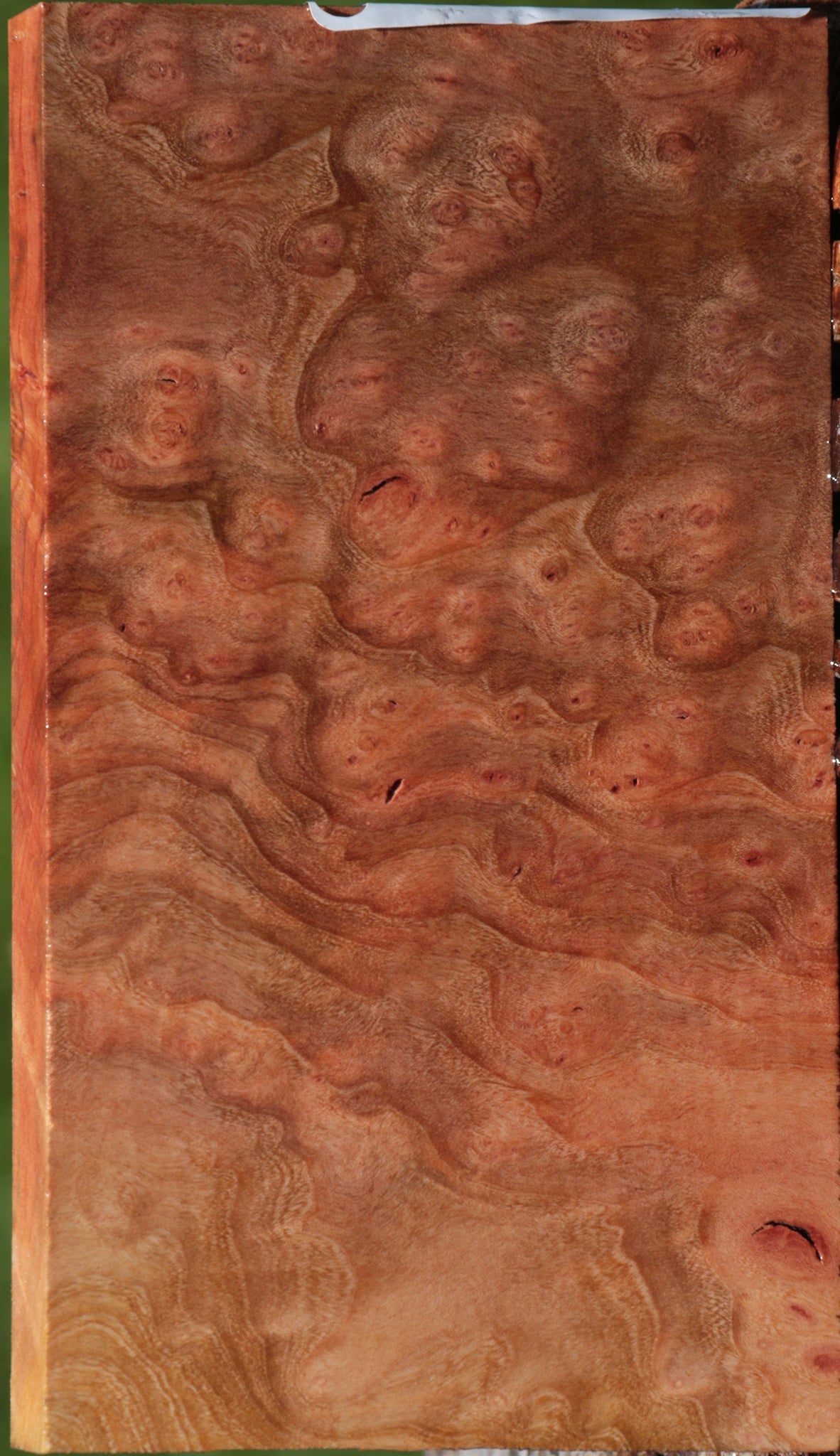 Madrone Burl Lumber