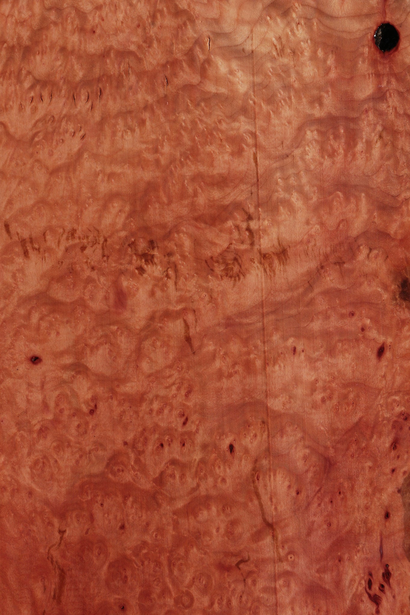 Extra Fancy Madrone Burl Lumber