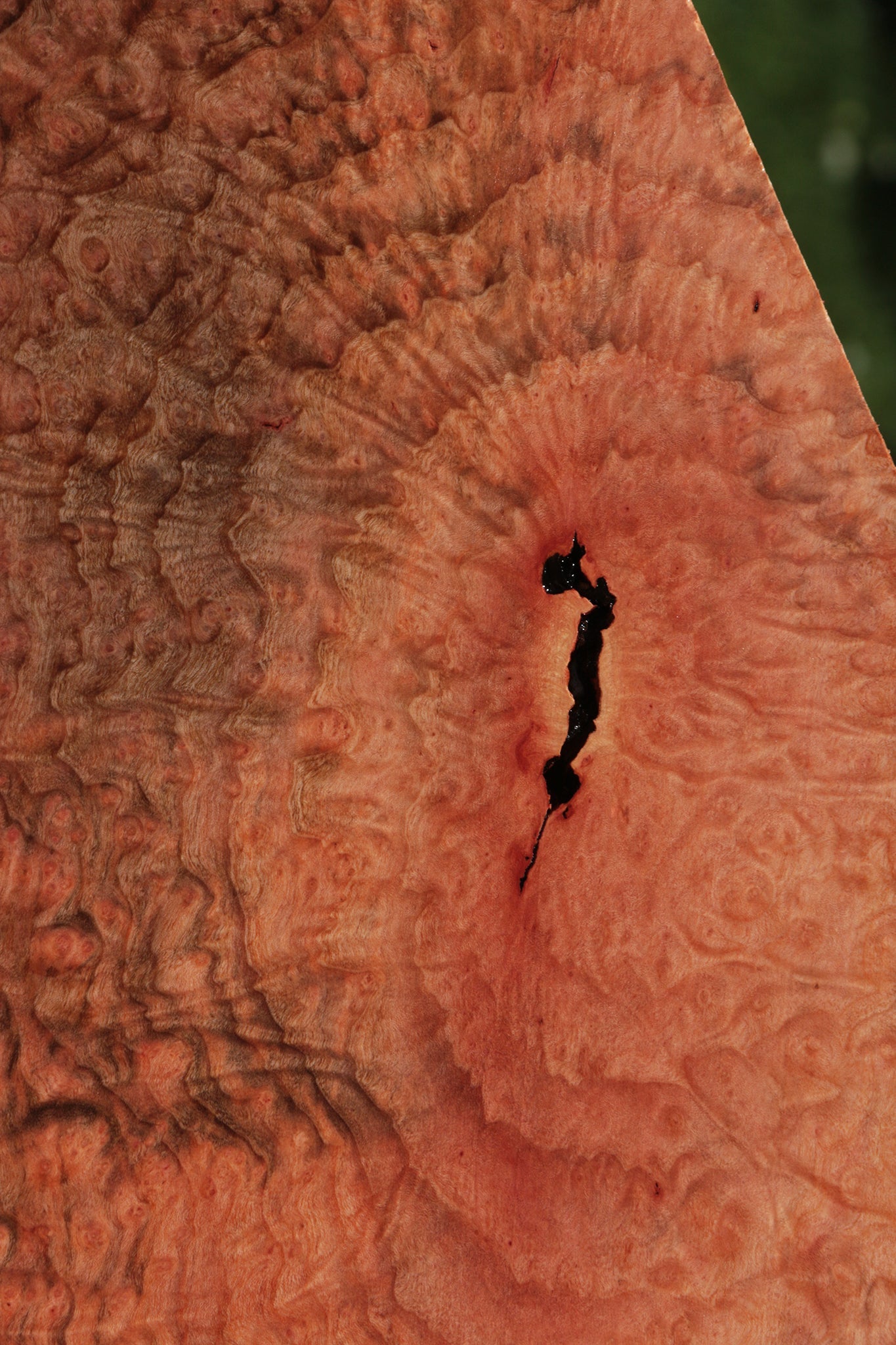 Extra Fancy Madrone Burl Lumber