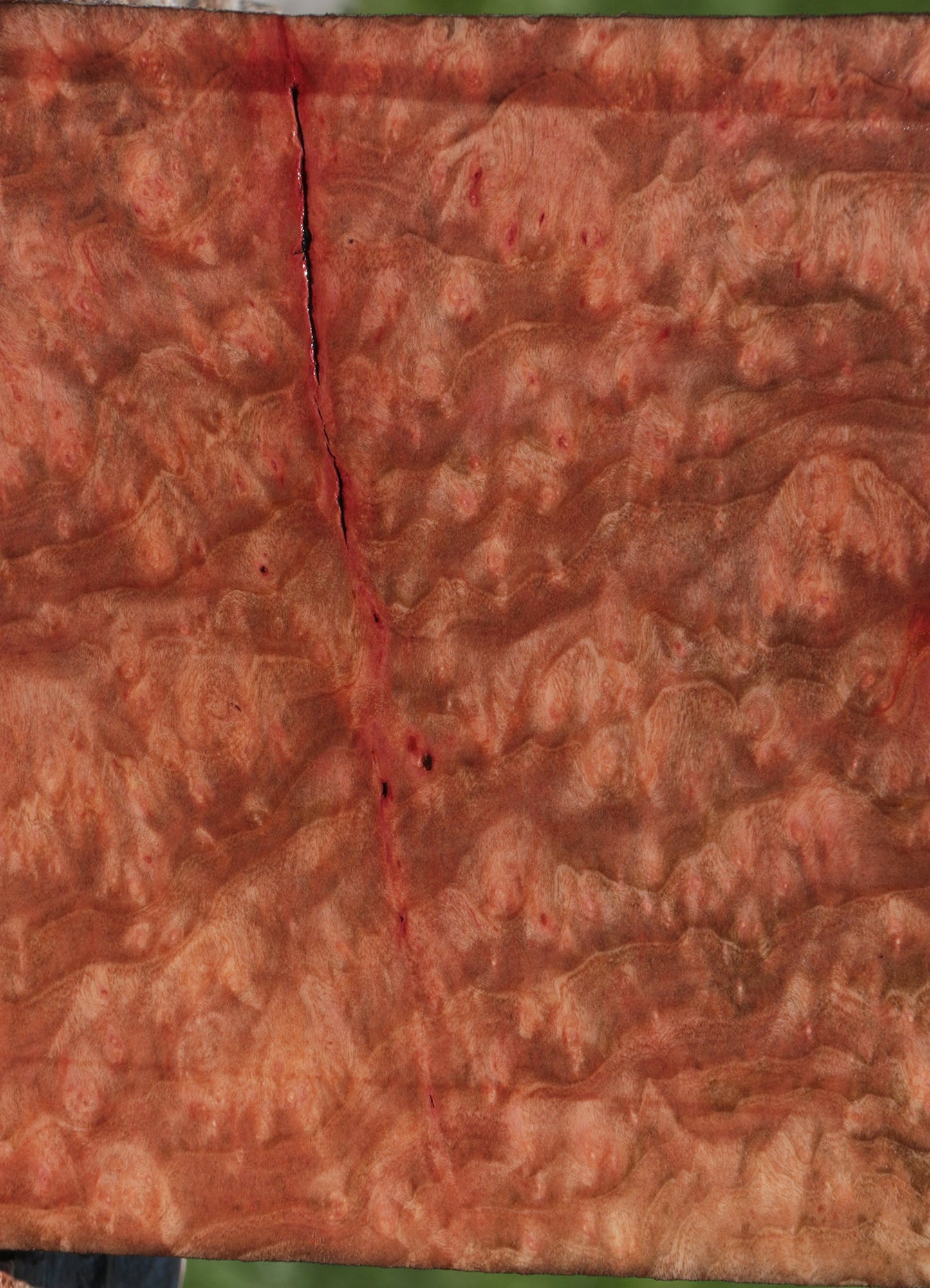 Extra Fancy Madrone Burl Lumber