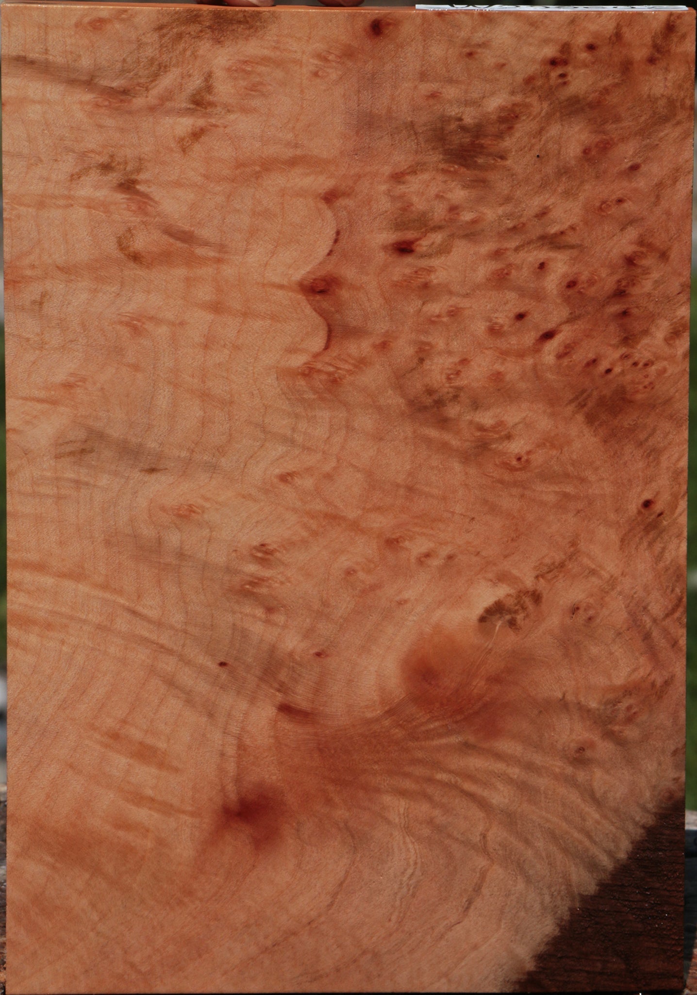 Extra Fancy Madrone Burl Lumber