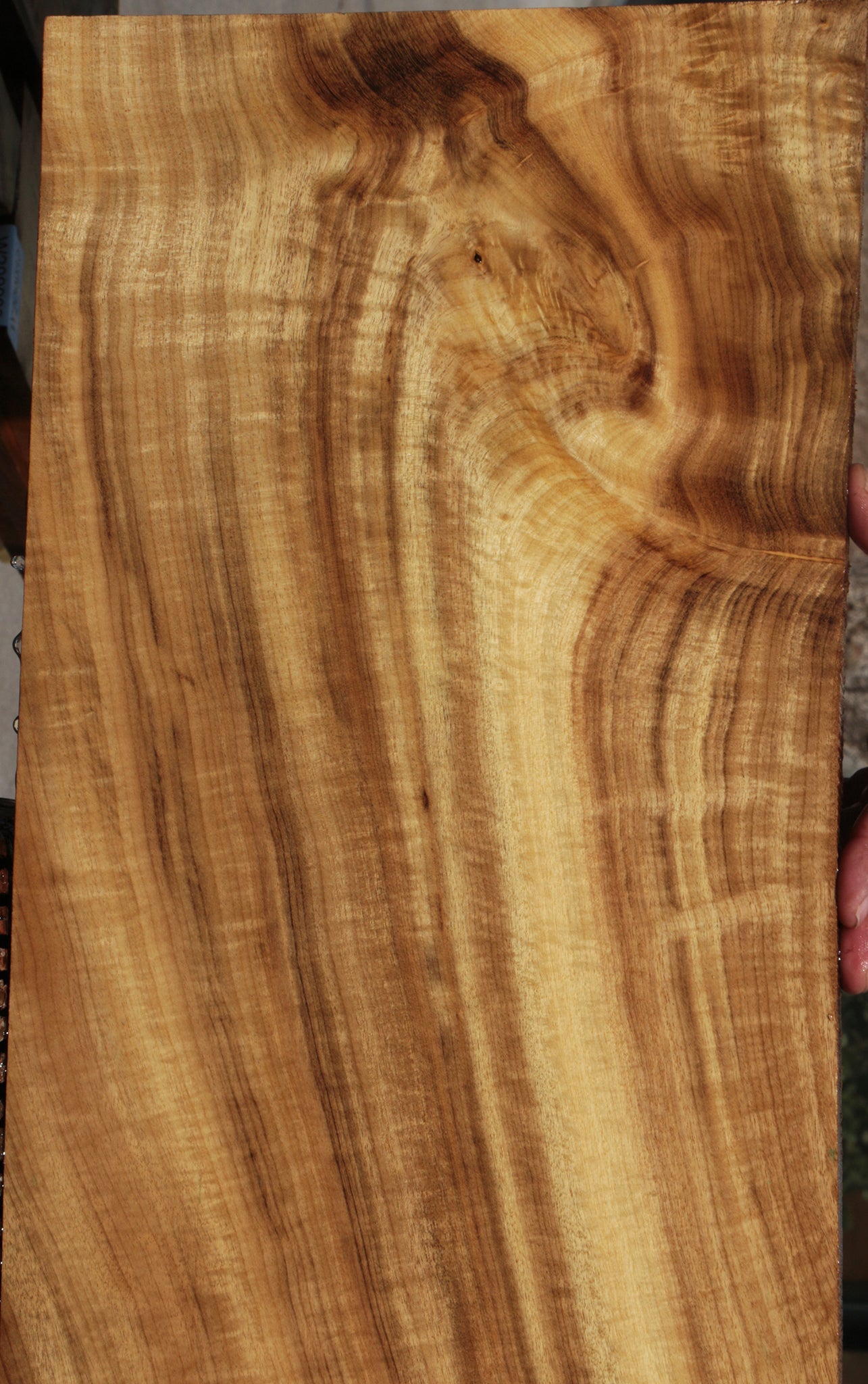 Extra Fancy Myrtle Lumber