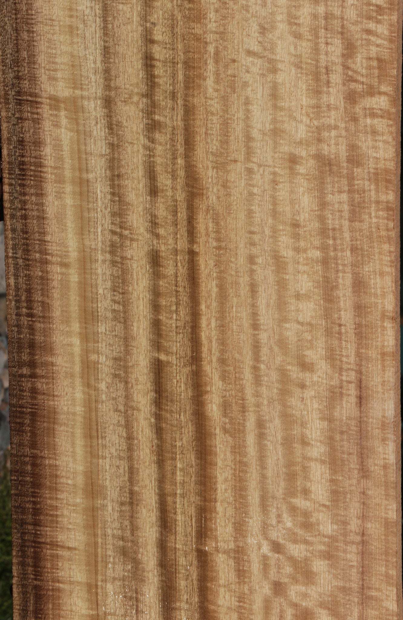 Exhibition Myrtle Lumber