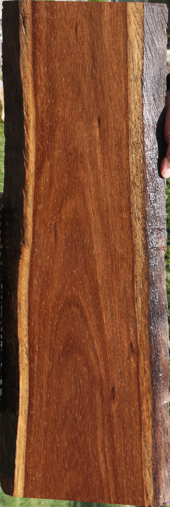 Sucupira Live Edge Lumber