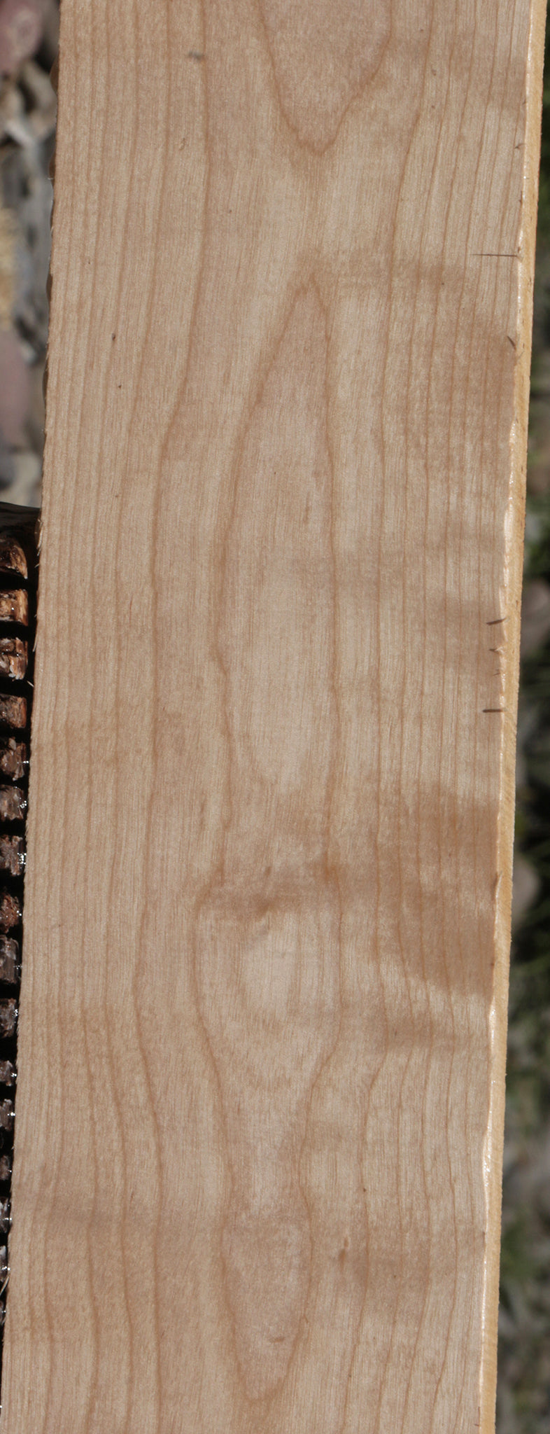 Curly Birch Lumber
