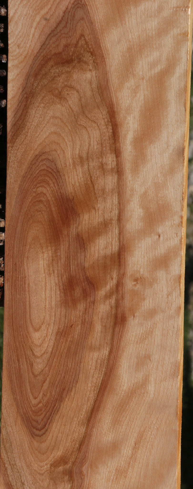 Curly Birch Lumber