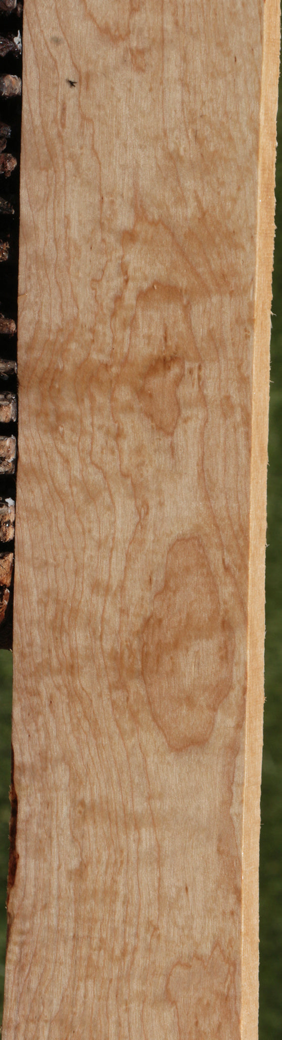 Curly Birch Lumber