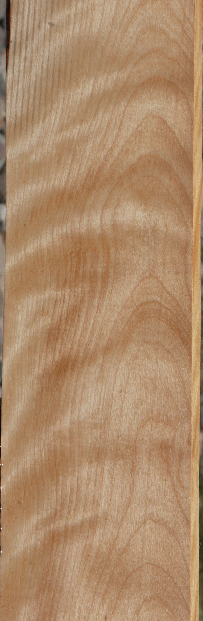 Curly Birch Lumber