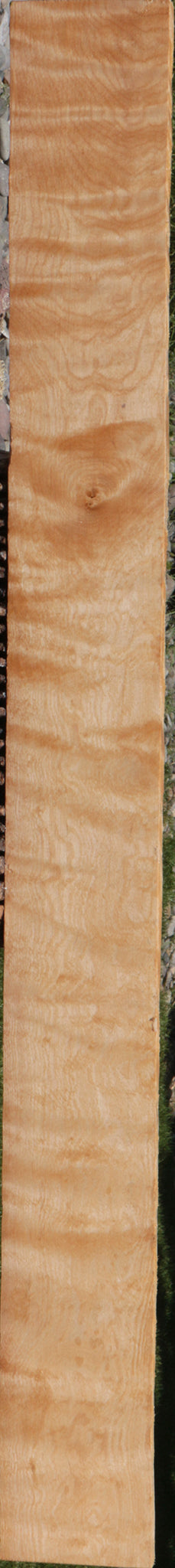 Extra Fancy Curly Birch Lumber