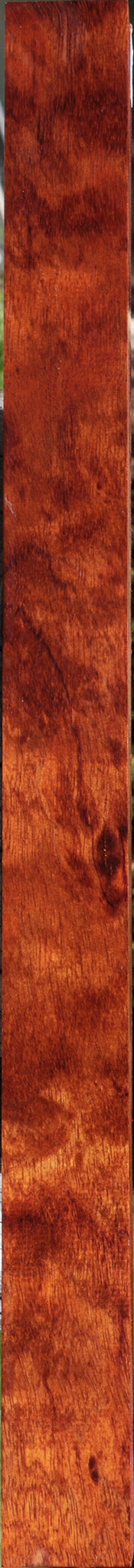 Extra Fancy Bubinga Turning Square