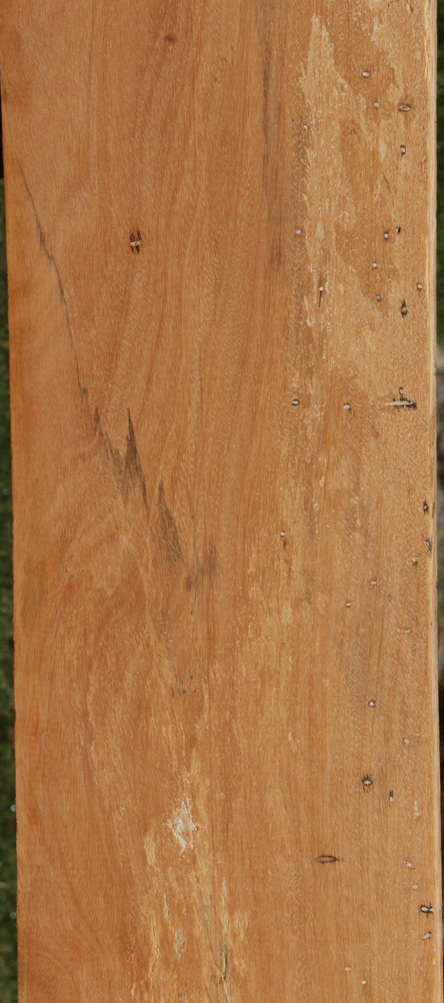 Spalted Tamarind Lumber