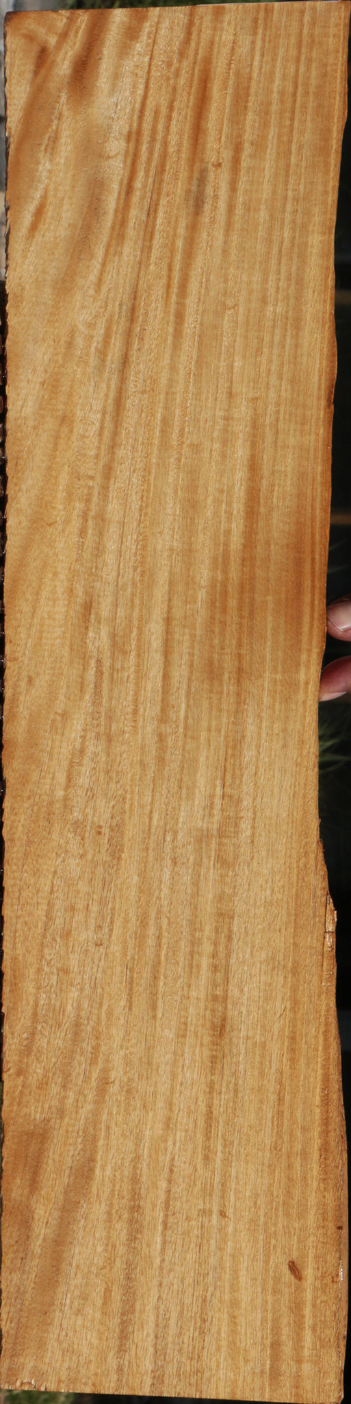 Extra Fancy Primavera Micro Lumber