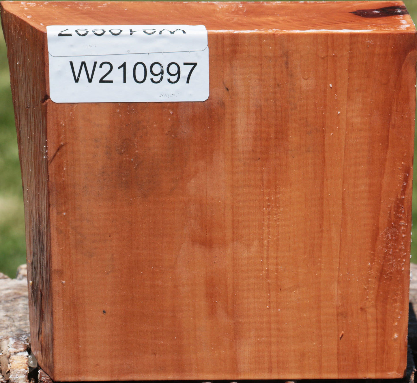 Swiss Pear Live Edge Bowl Blank