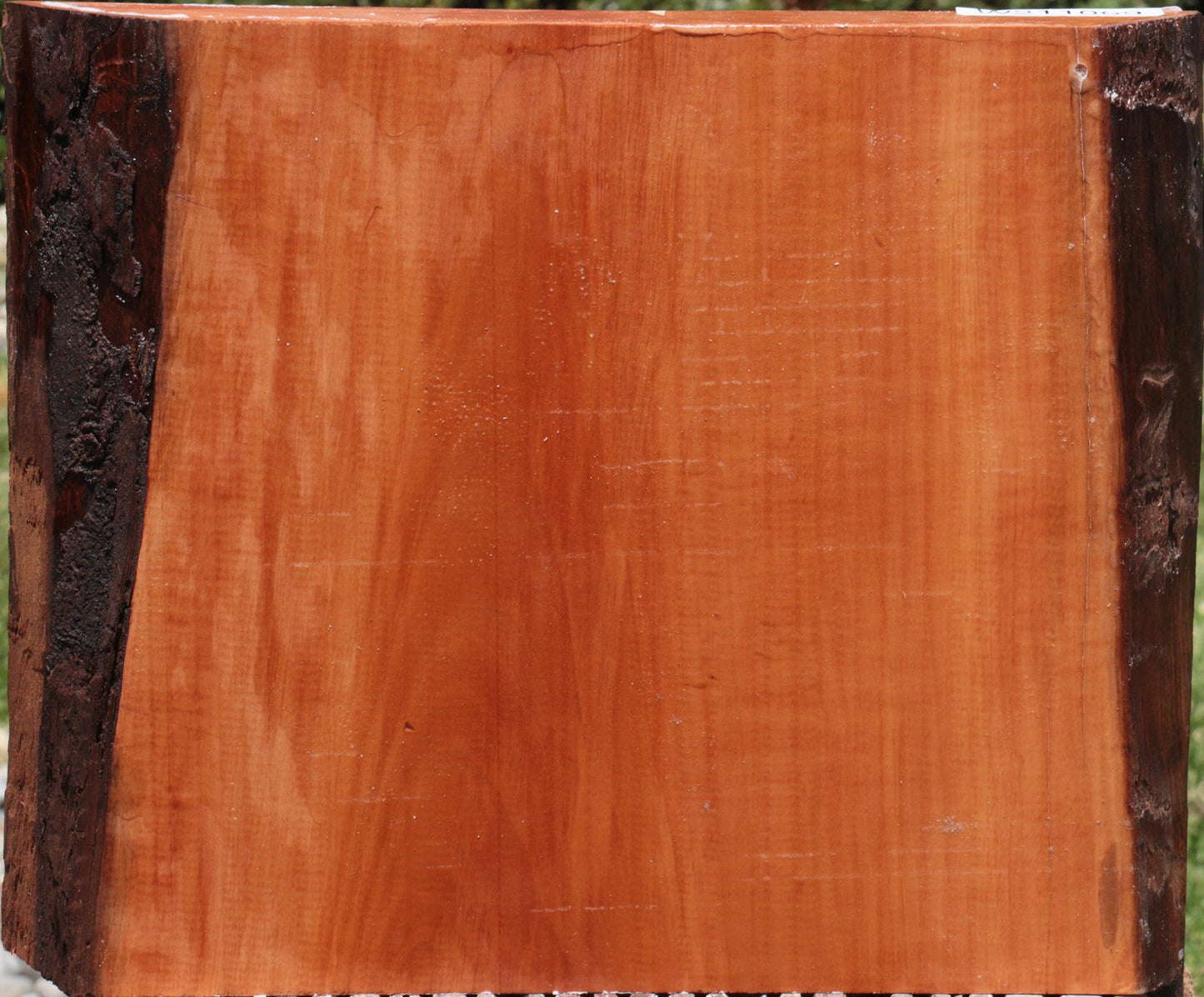 Swiss Pear Live Edge Bowl Blank