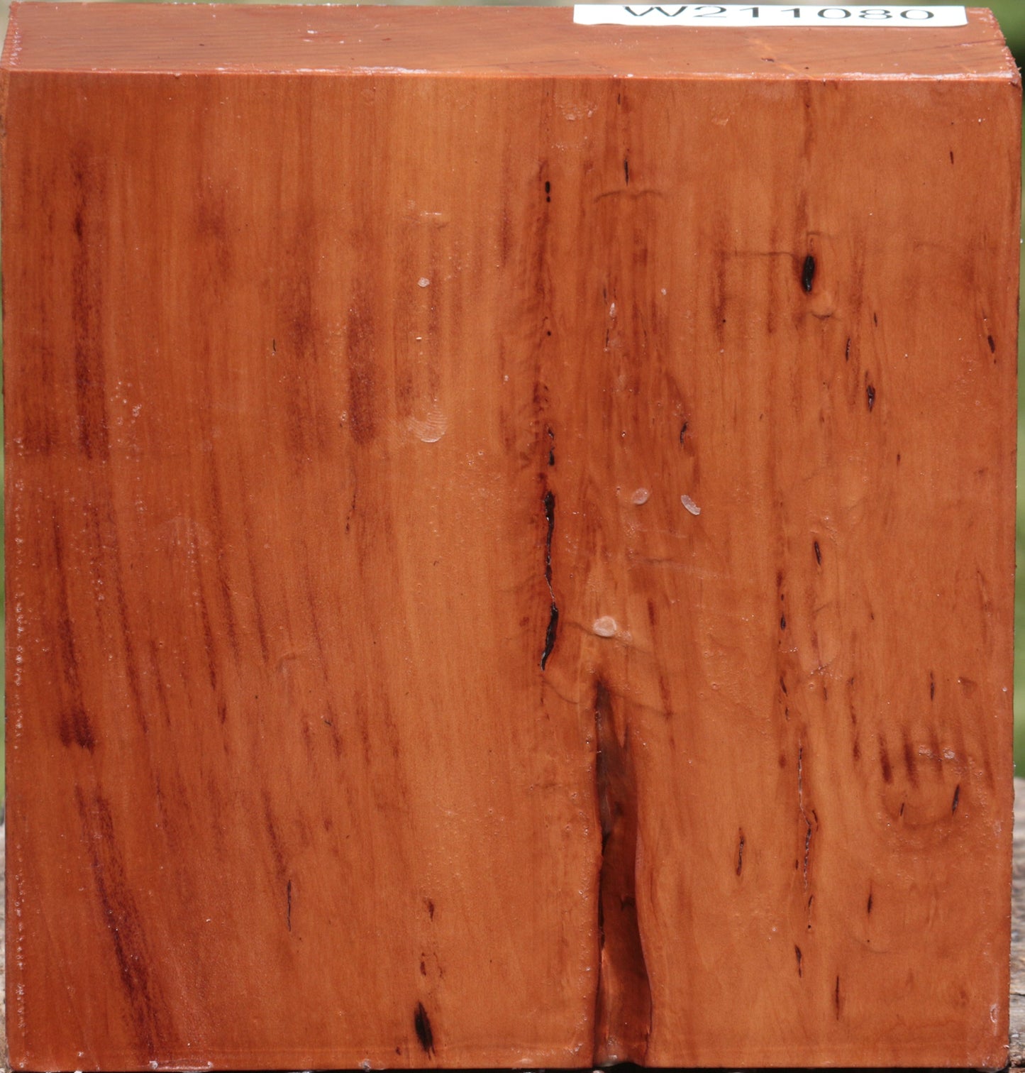 Swiss Pear Bowl Blank