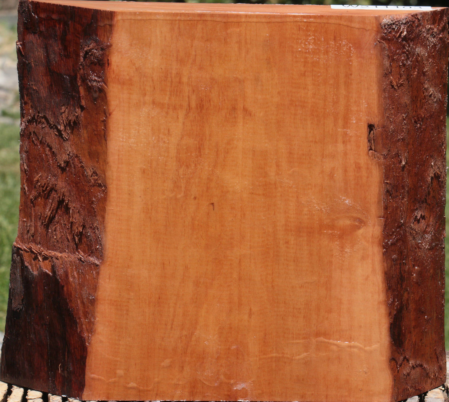 Swiss Pear Live Edge Bowl Blank