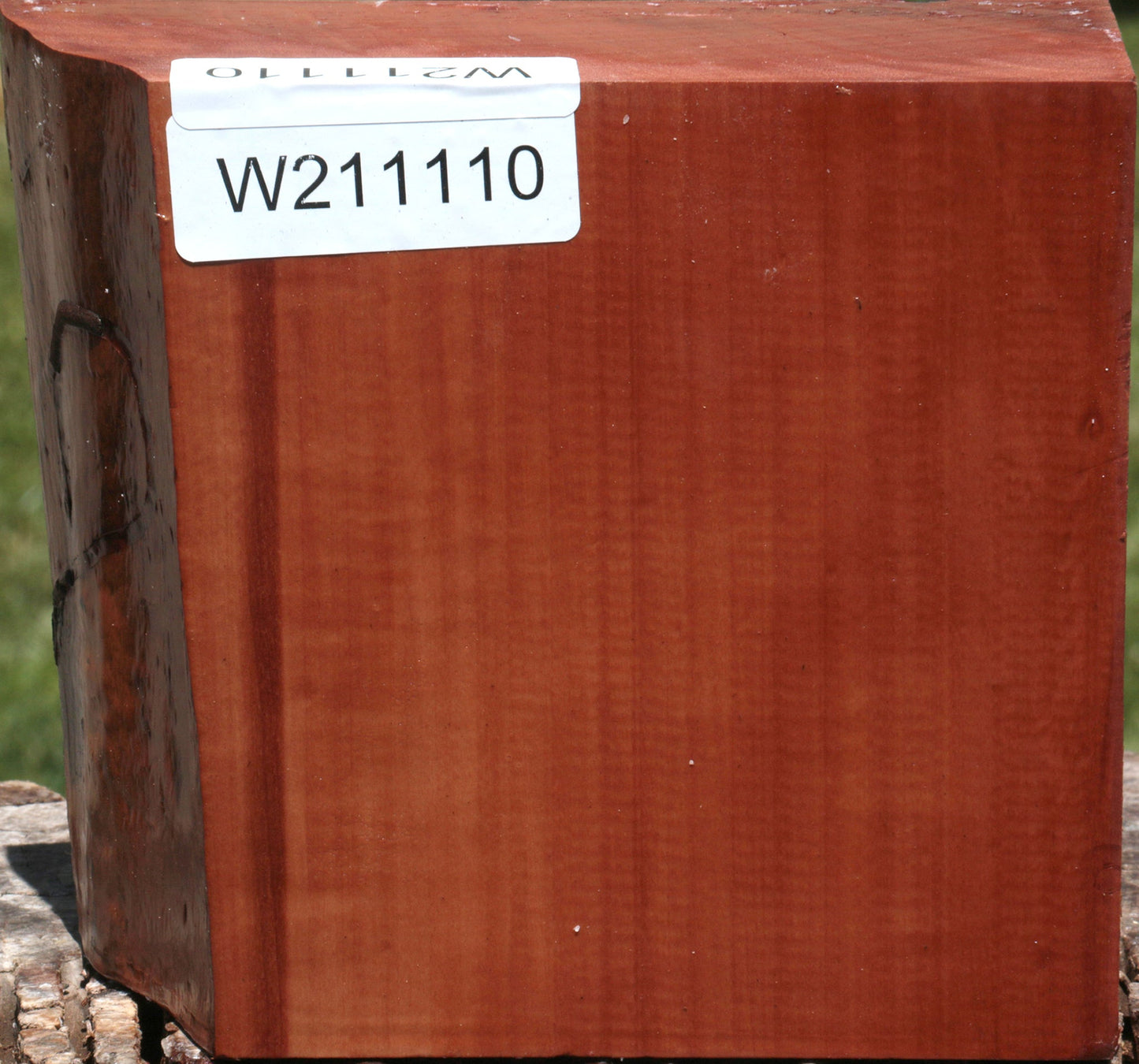 Swiss Pear Live Edge Bowl Blank