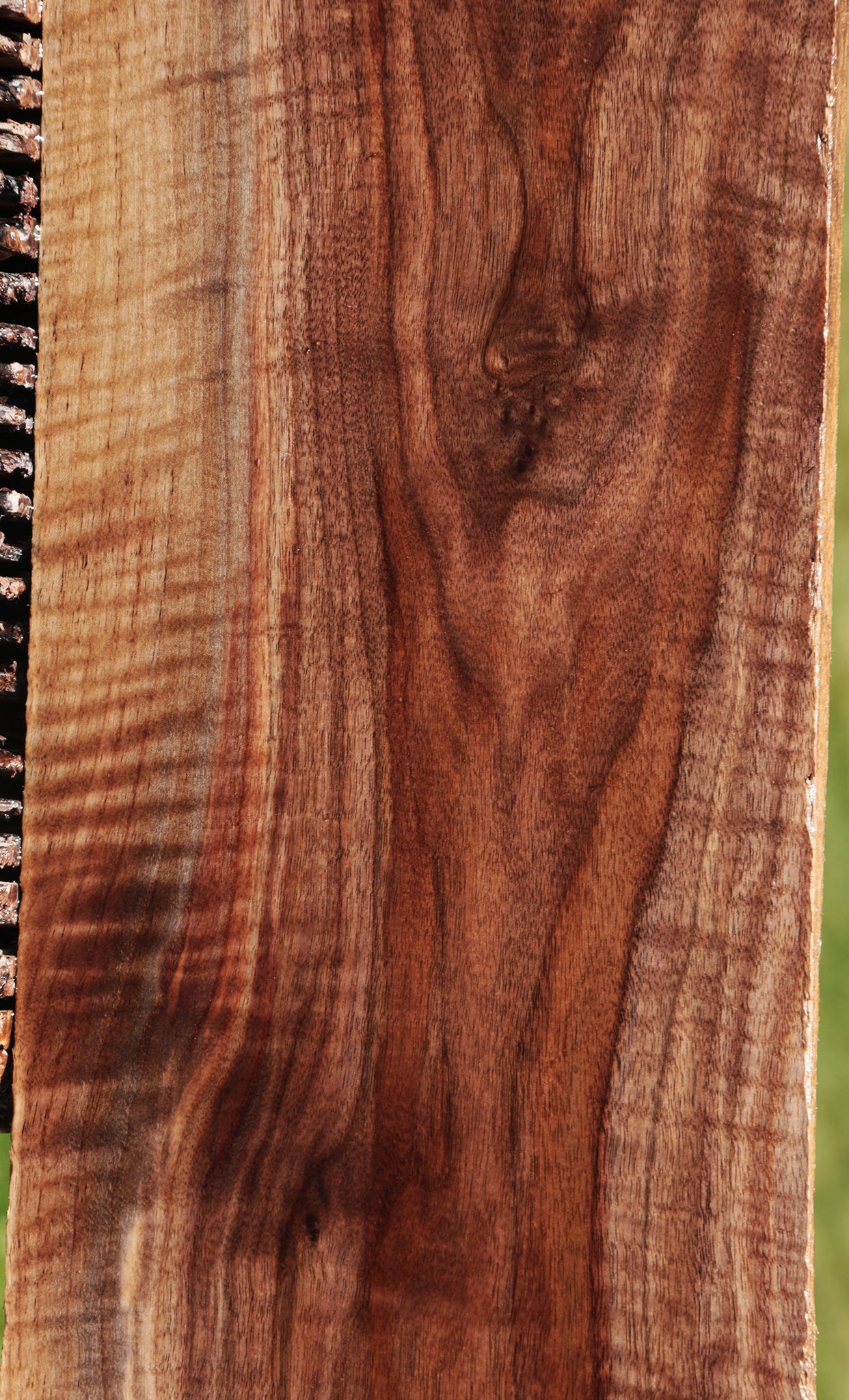 Extra Fancy Curly Eastern Walnut Lumber