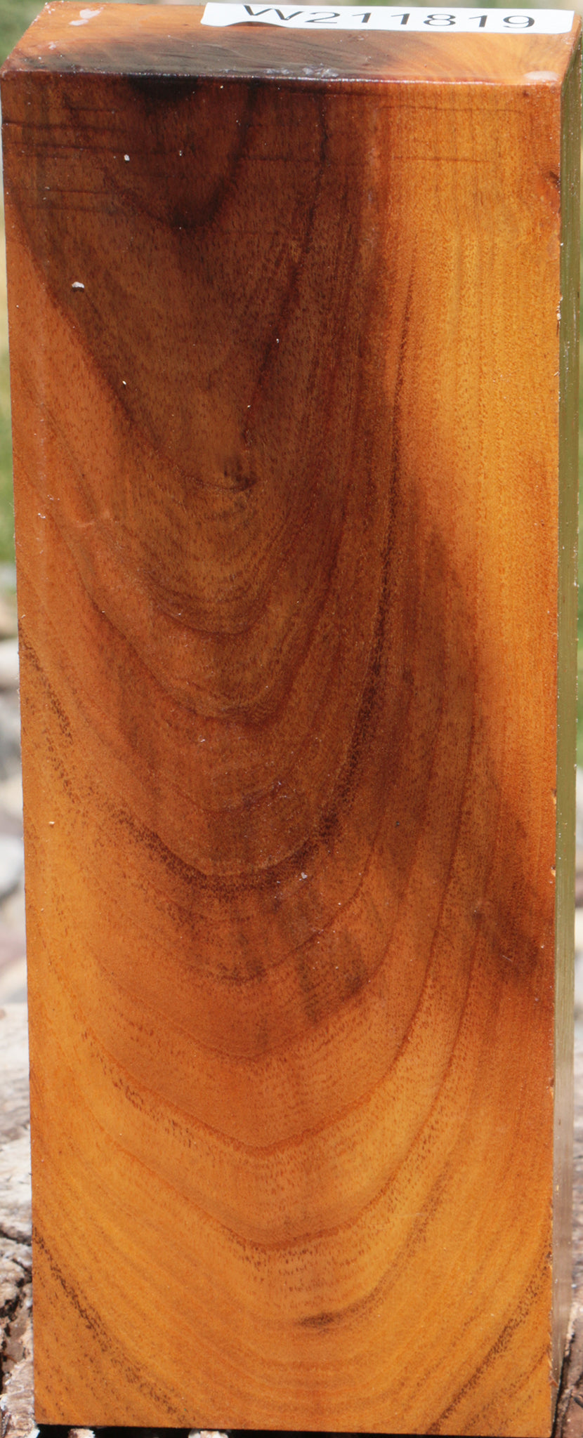 Osage Orange Turning Blank