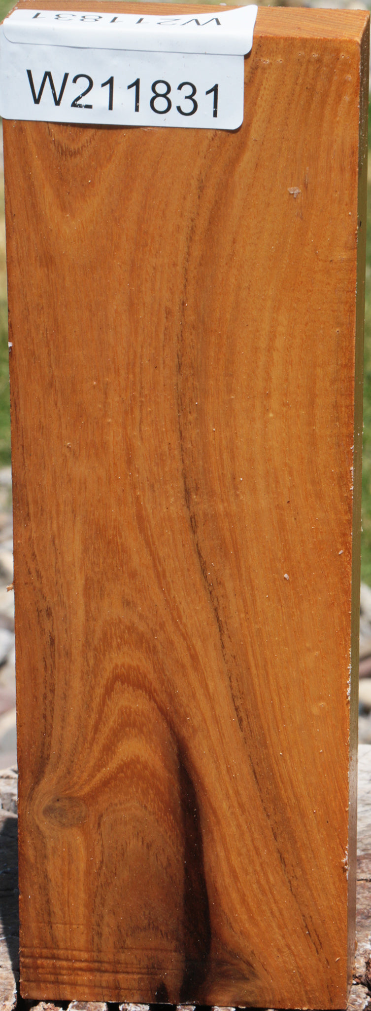 Osage Orange Turning Blank