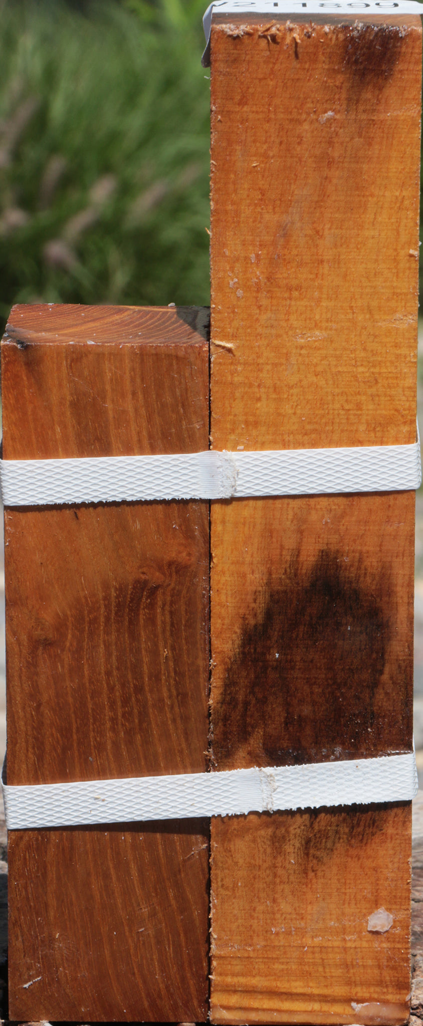 Osage Orange Turning Square 2-Pack