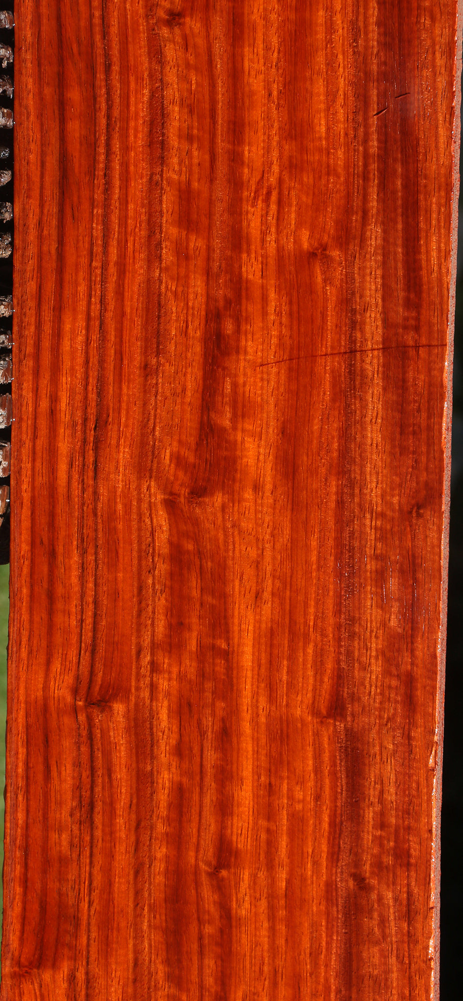 Extra Fancy Padauk Lumber
