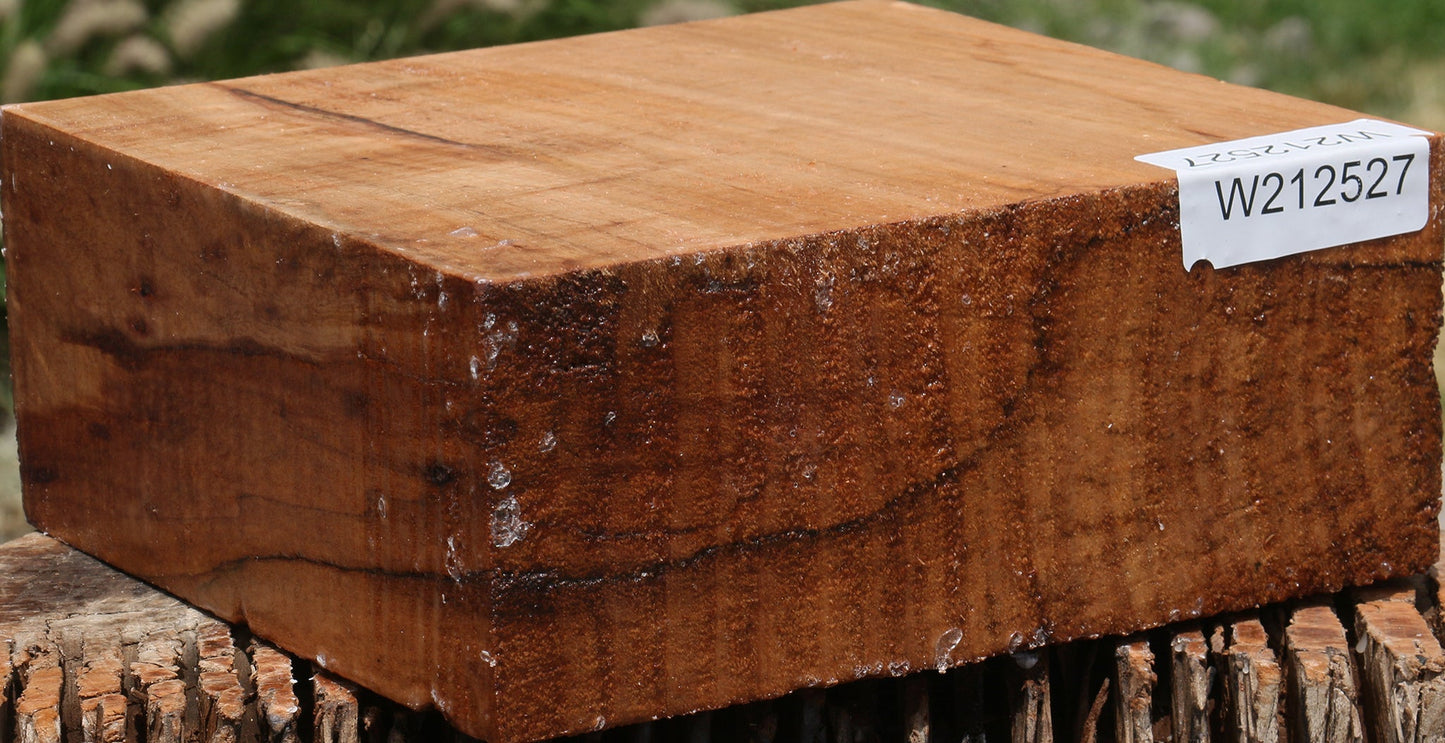 Silver Wattle Bowl Blank