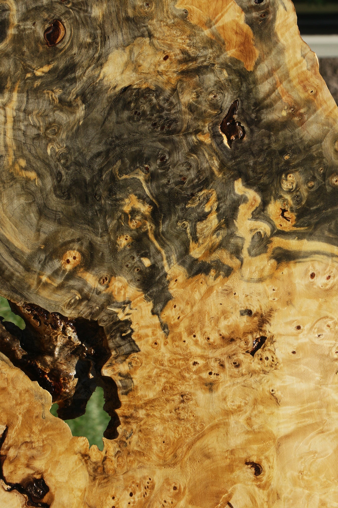 Buckeye Burl Lumber