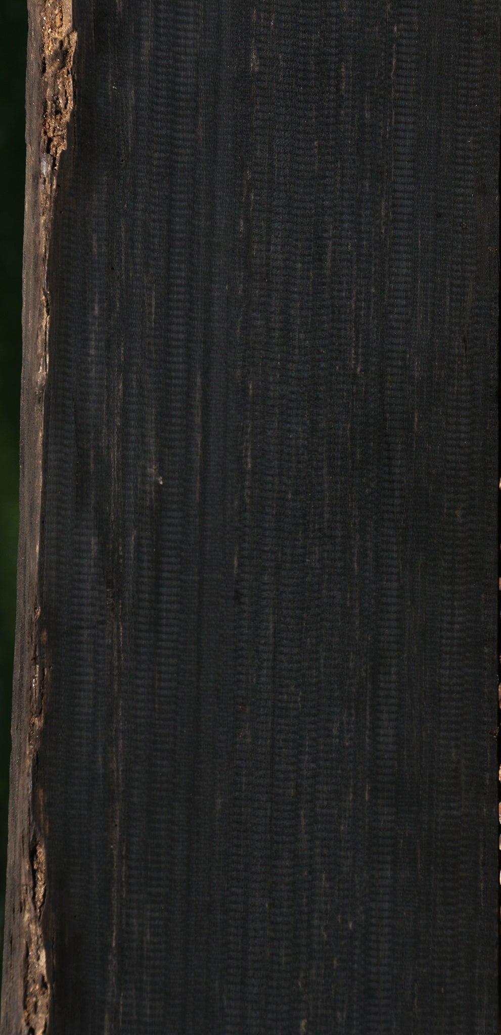 Extra Fancy Gabon Ebony Live Edge Lumber