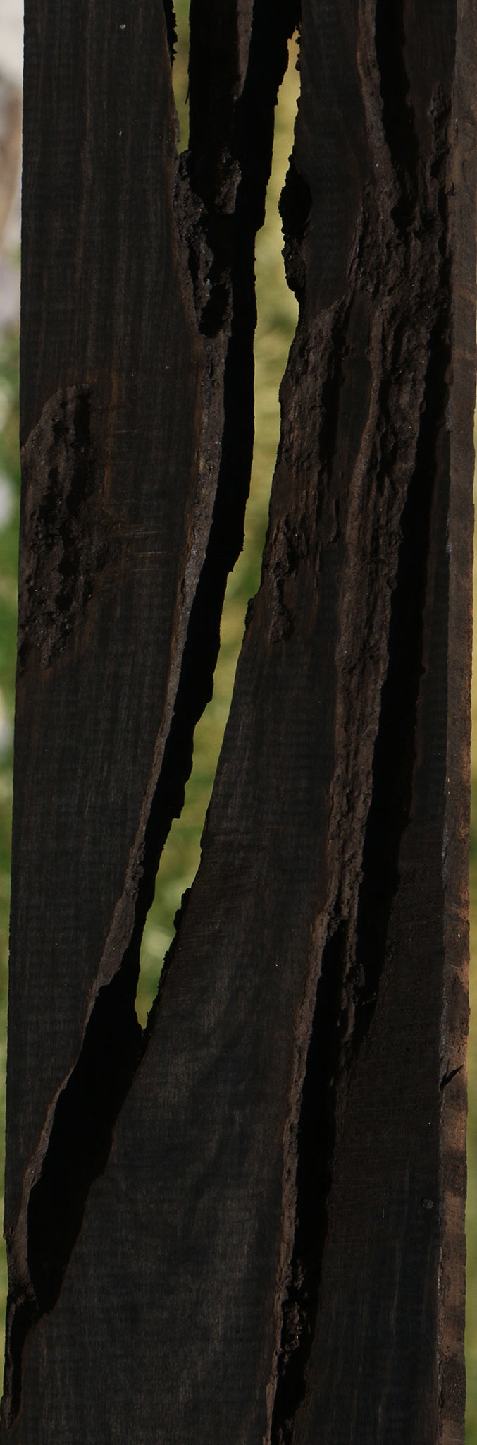 Rustic Gabon Ebony Micro Lumber