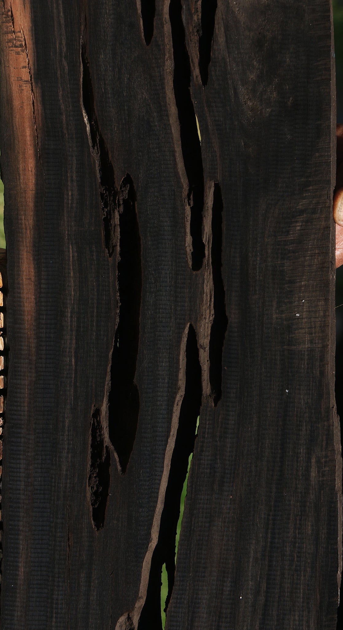 Rustic Gabon Ebony Live Edge Micro Lumber