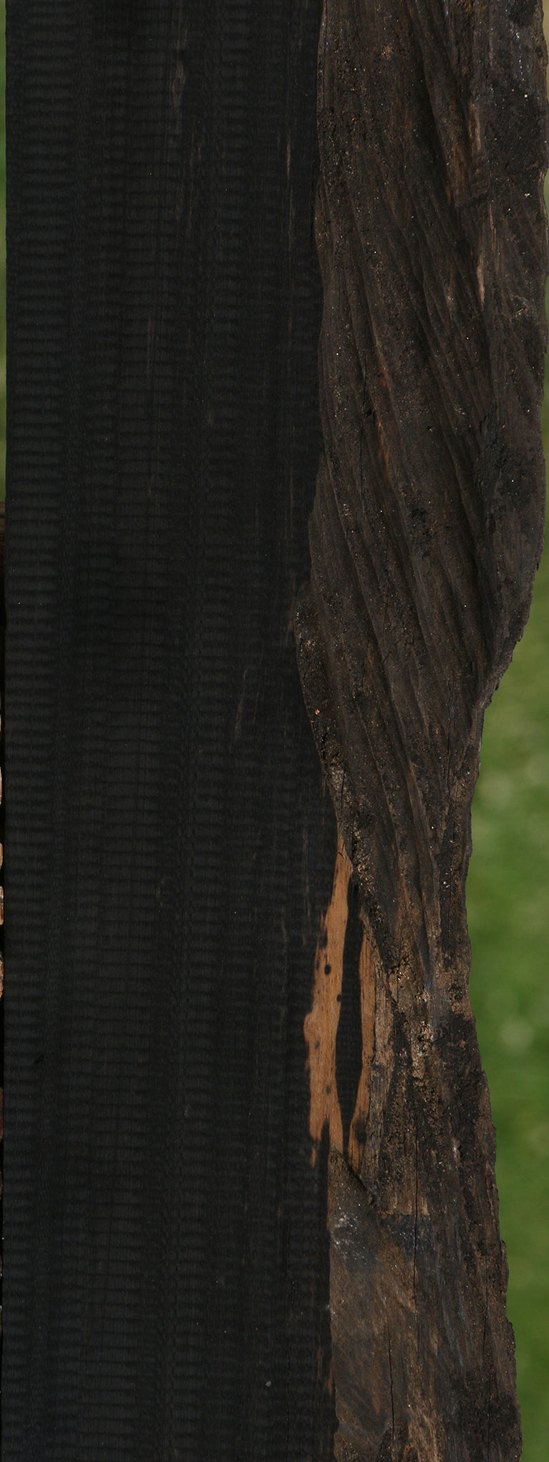 Extra Fancy Gabon Ebony Micro Live Edge Lumber