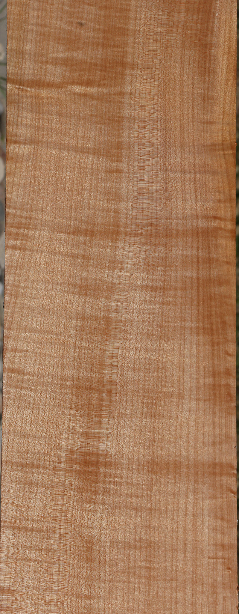 Extra Fancy Fiddleback Maple Lumber