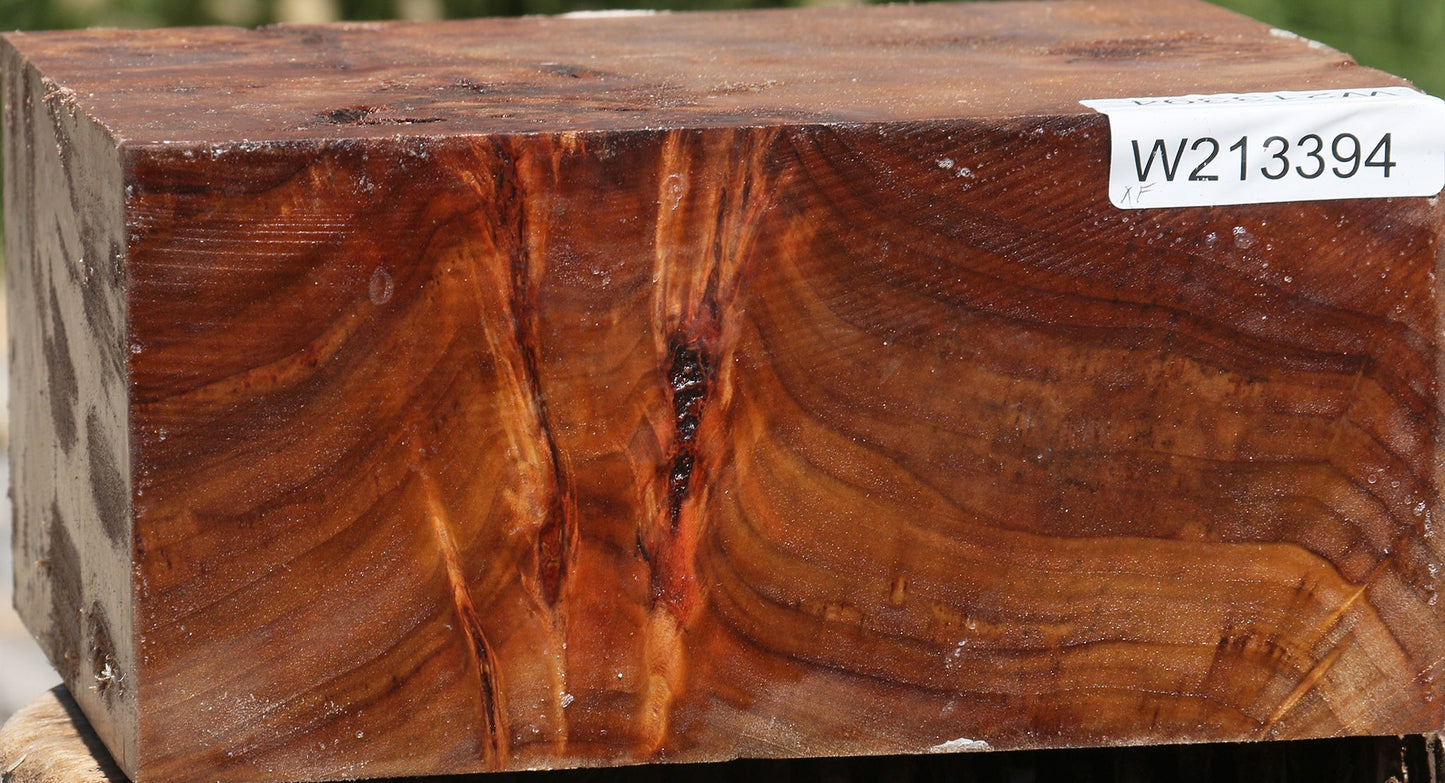 Extra Fancy Cottonwood Burl Bowl Blank