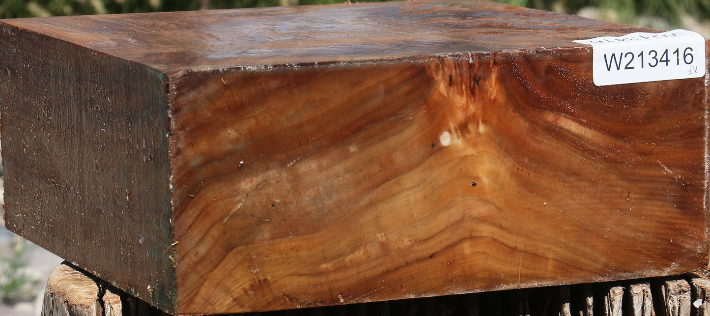 Extra Fancy Cottonwood Burl Bowl Blank