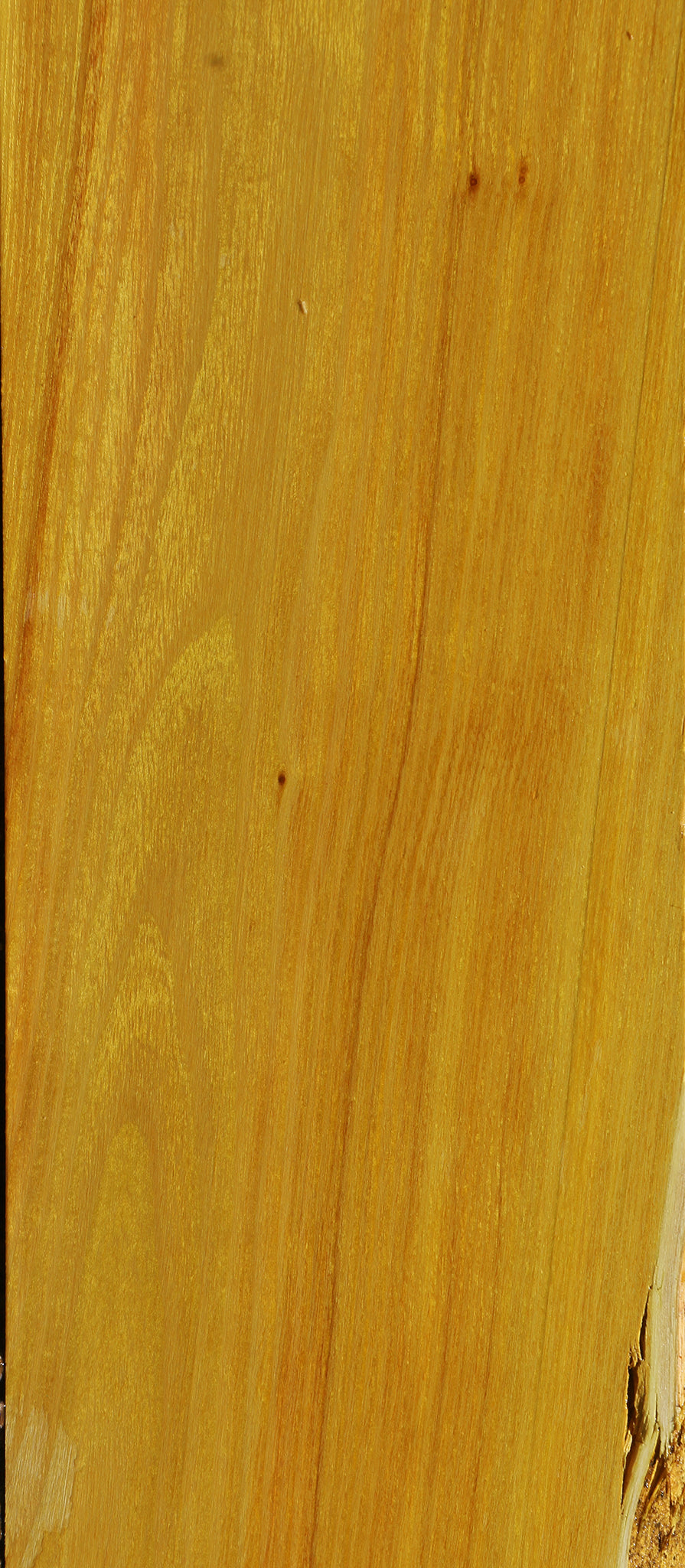 Osage Orange Lumber