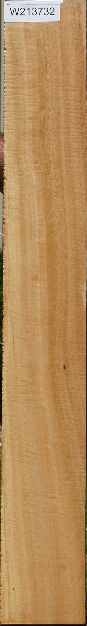 Extra Fancy Eucalyptus Lumber