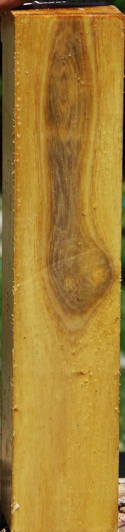 Mulberry Turning Square